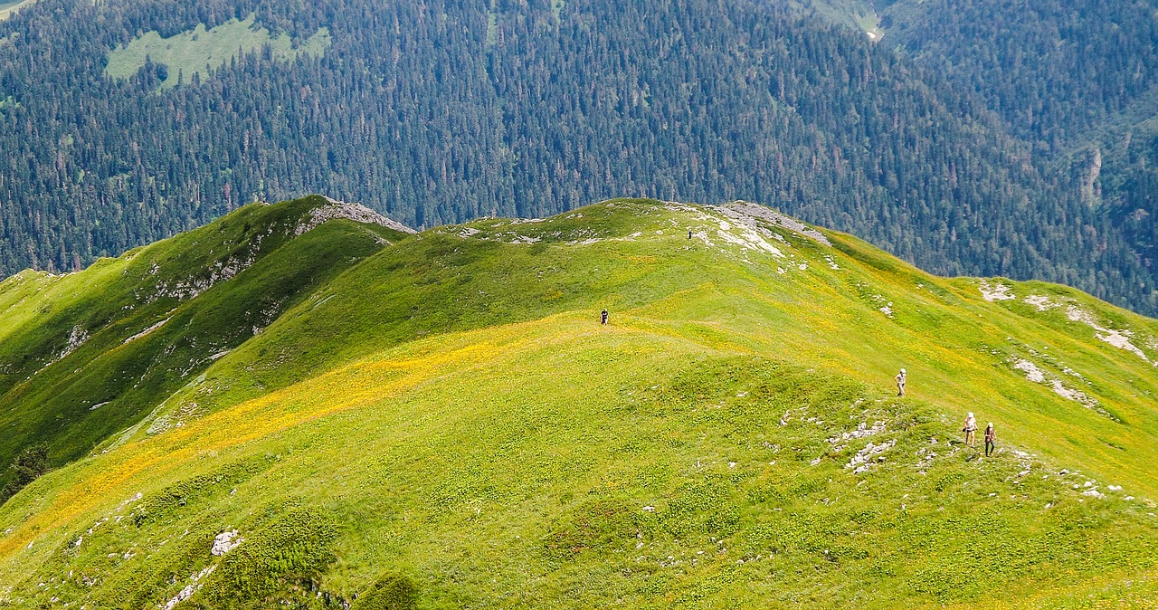 , Nemokamos Nuotraukos,  Nemokama Licenzija