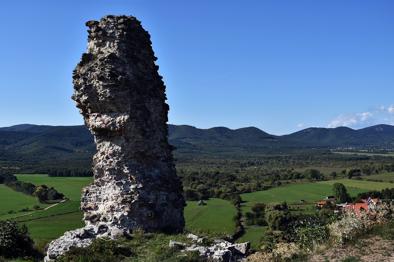 , Nemokamos Nuotraukos,  Nemokama Licenzija