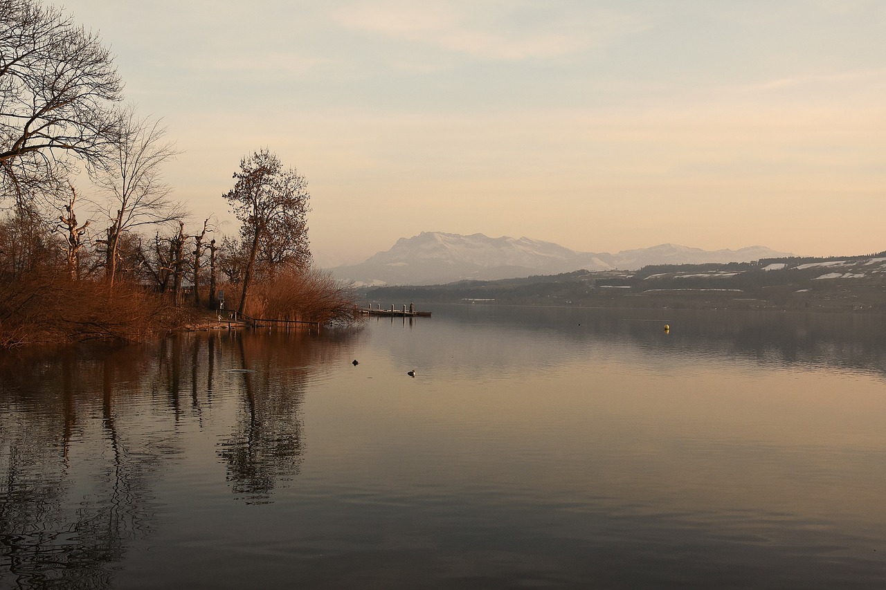 , Nemokamos Nuotraukos,  Nemokama Licenzija