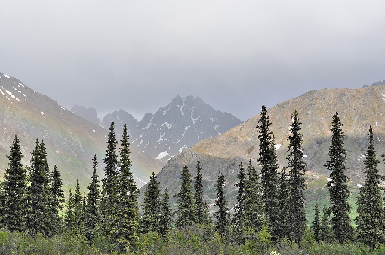 Kalnai, Alaska, Denali, Kraštovaizdis, Vaizdingas, Evergreens, Spygliuočiai, Nemokamos Nuotraukos,  Nemokama Licenzija