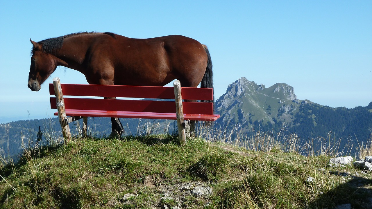 Kalnai, Bankas, Arklys, Vaizdas, Nemokamos Nuotraukos,  Nemokama Licenzija