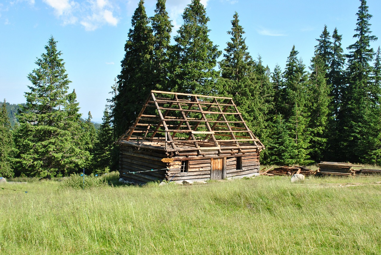 Kalnai, Namelis, Piemenų Namelis, Poliana, Tatra Bukovina, Nemokamos Nuotraukos,  Nemokama Licenzija