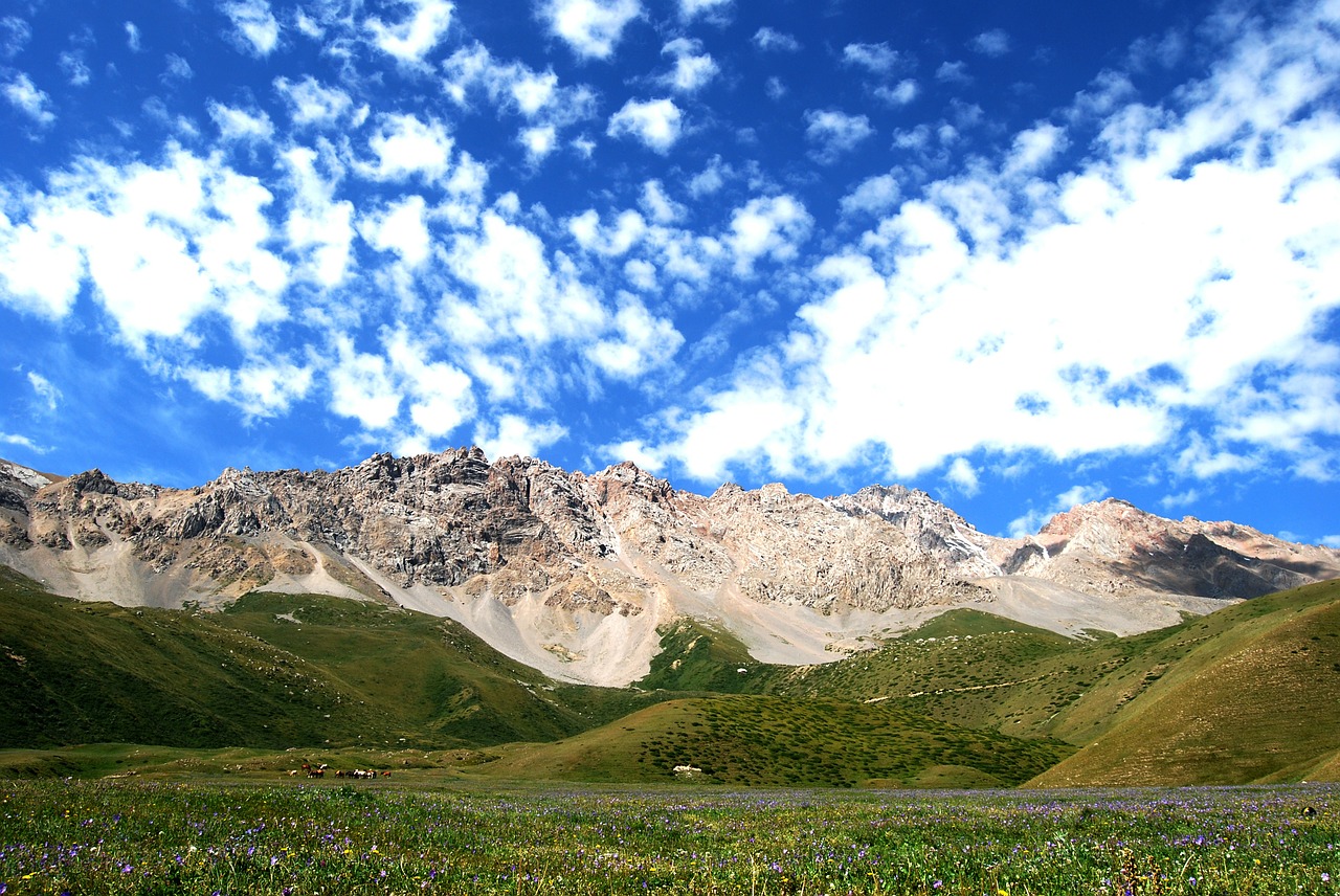 Kalnai, Naryn, Kirgizija, Nemokamos Nuotraukos,  Nemokama Licenzija