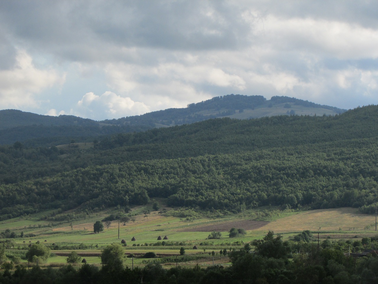 Kalnai, Momas Miškas, Kraštovaizdis, Bihoras, Crisana, Romanija, Nemokamos Nuotraukos,  Nemokama Licenzija