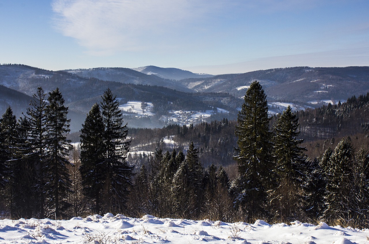 Kalnai, Žiema, Sniegas, Žiemą Kalnuose, Medis, Miškas, Gamta, Lenkija, Highlander Salone, Vaizdas Iš Viršaus