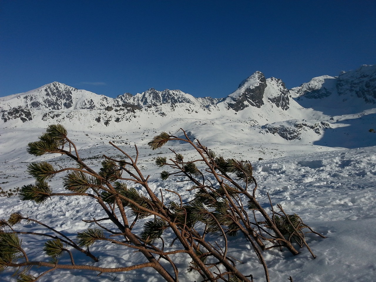 Kalnai,  Tatry,  Žiema, Nemokamos Nuotraukos,  Nemokama Licenzija