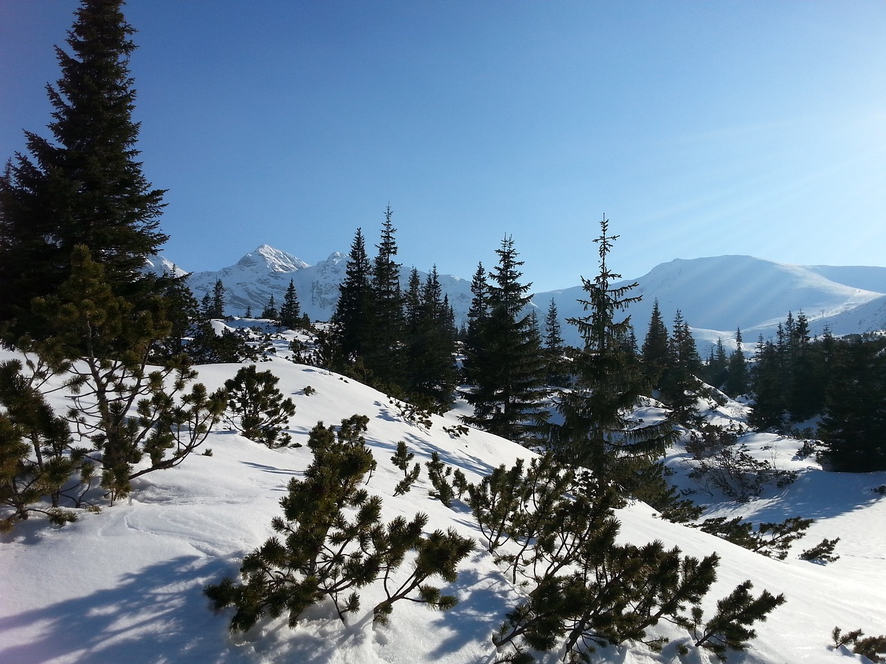 Kalnai,  Tatry,  Vaizdas, Nemokamos Nuotraukos,  Nemokama Licenzija