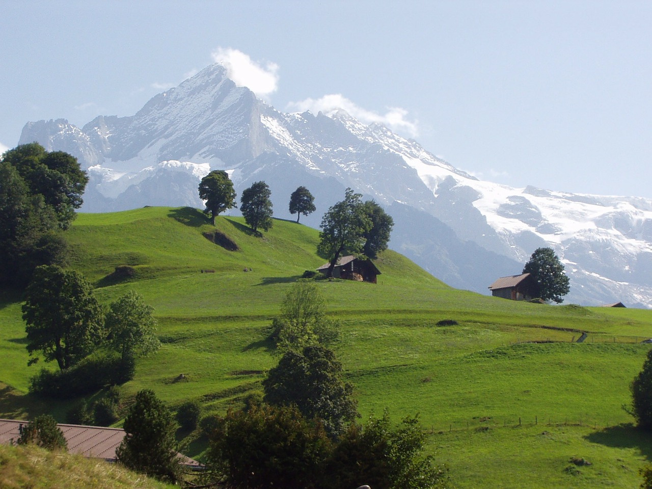 Kalnai, Grindelwald, Šveicarija, Nemokamos Nuotraukos,  Nemokama Licenzija