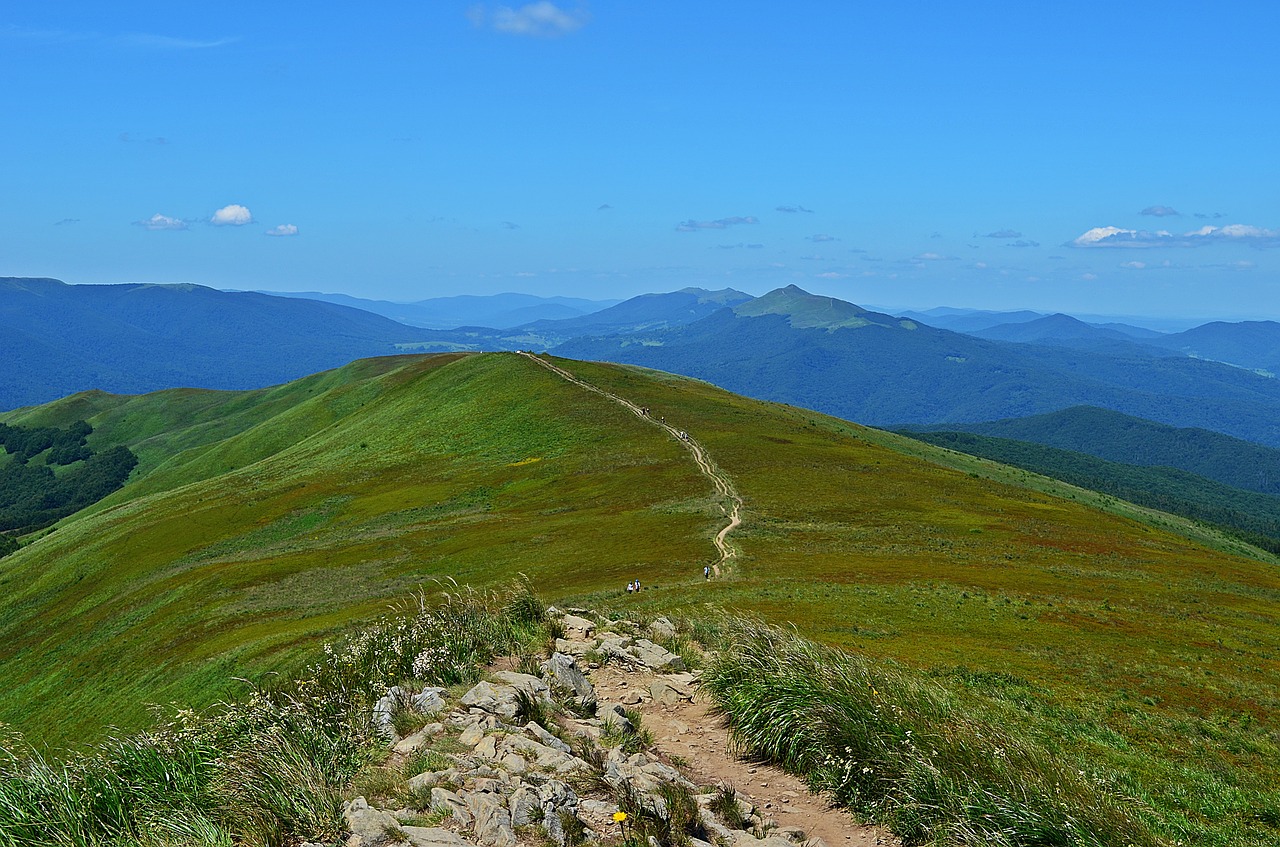 Kalnai,  Kraštovaizdis,  Vaizdas,  Panorama,  Bieszczady,  Gamta,  Miškas,  Vaizdas Iš Viršaus,  Turizmas,  Saulėtas