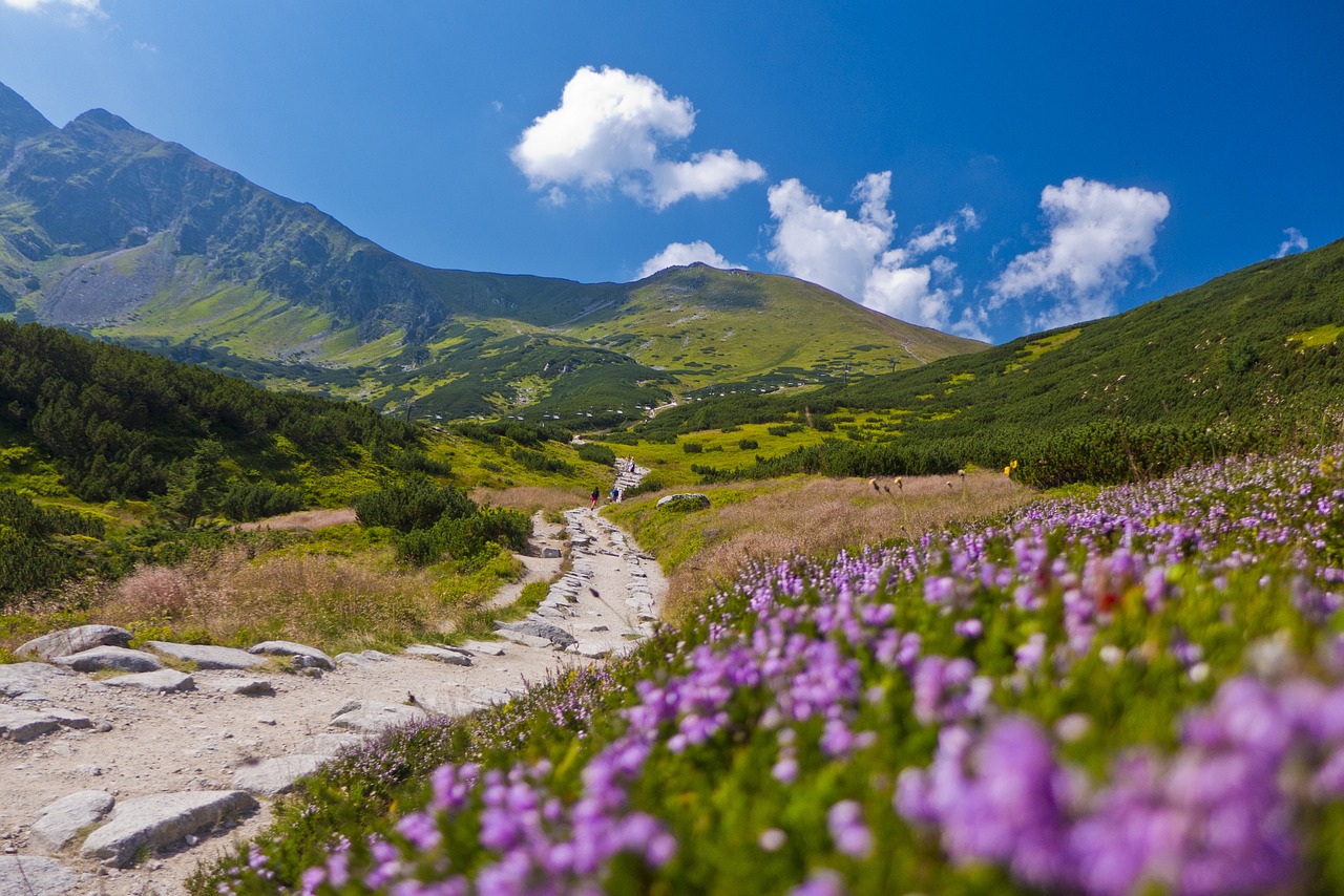 Kalnai,  Tatry,  Kraštovaizdis,  Dangus,  Vaizdas,  Vaizdas Iš Viršaus,  Žolė,  Kelias,  Gamta,  Kalnas