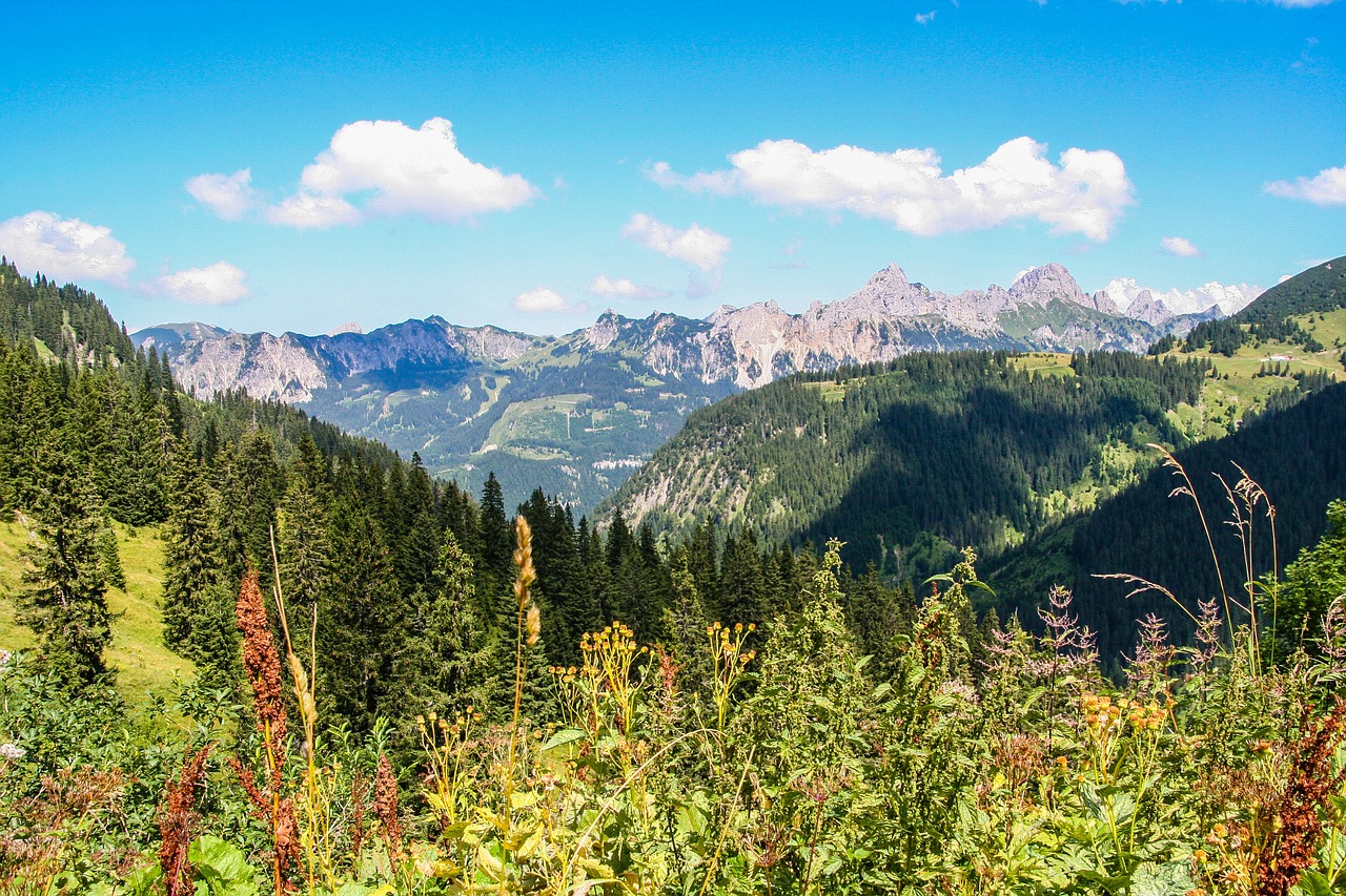 Kalnai,  Alpių,  Tannheim,  Raudona Flüh,  Žygiai, Nemokamos Nuotraukos,  Nemokama Licenzija
