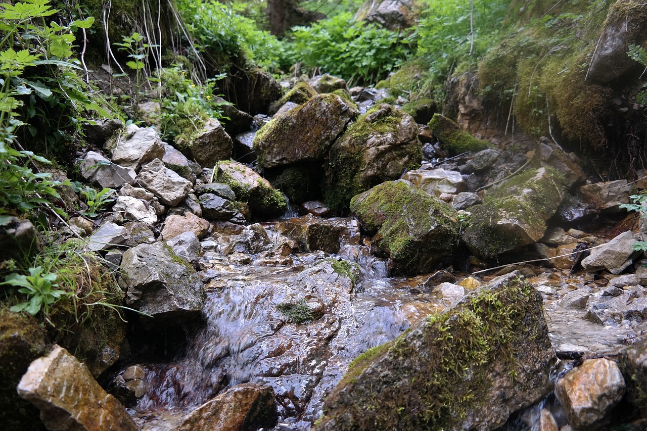 Kalnai, Šaltinis, Bachas, Vanduo, Gamta, Upė, Akmenys, Nemokamos Nuotraukos,  Nemokama Licenzija