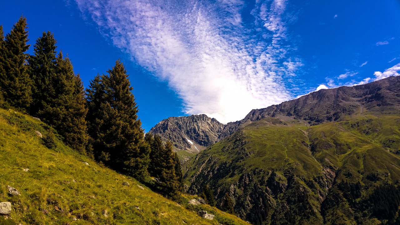 Kalnai, Kalnų Panorama, Alpių, Panorama, Kalnų, Tirolo Alpės, Mėlynas Dangus, Eglės, Medžiai, Austria