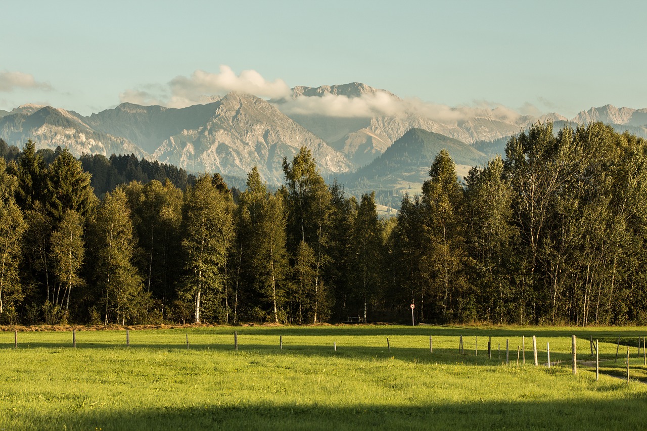 Kalnai, Miškas, Pieva, Kraštovaizdis, Alpių, Gamta, Kalnų Miškas, Allgäu, Allgäu Alpės, Nemokamos Nuotraukos