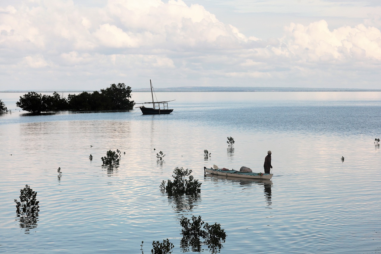 Mozambikas, Ibo Sala, Žvejyba, Nemokamos Nuotraukos,  Nemokama Licenzija