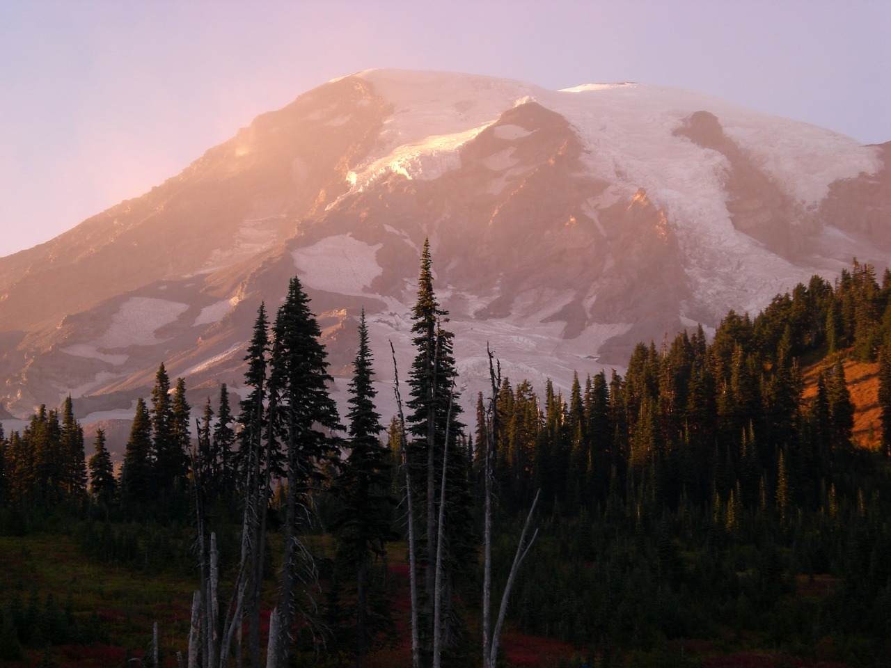 Mt, Rainier Washington, Saulėlydis, Medžiai, Sniegas, Nemokamos Nuotraukos,  Nemokama Licenzija