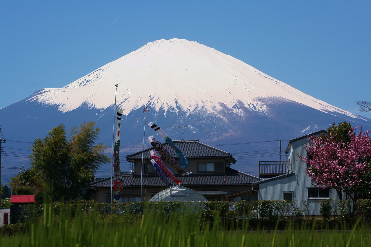 Mt Fuji, Gotemba, Satsuki, Gegužė, Karpių Syvas, Sruogos, Sezoninis, Įvykiai, Vaikai, Prefektūra Shizuoka