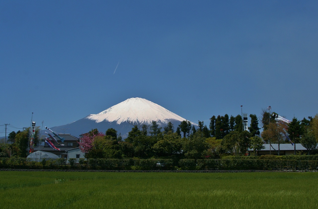 Mt Fuji, Gotemba, Satsuki, Gegužė, Karpių Syvas, Sruogos, Sezoninis, Įvykiai, Vaikai, Prefektūra Shizuoka