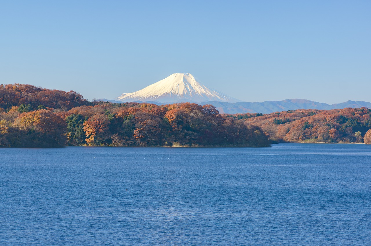 Mt Fuji, Japonija, Kraštovaizdis, Natūralus, Mėlynas Dangus, Sayama Ežeras, Rudens Lapai, Ruduo, Kalnas, Saulėtas