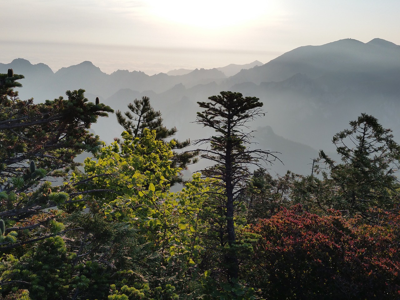 Mt Seoraksan, Saulėtekis, Gwittaegi Cheongbong, Kalnas, Peizažas, Rūkas, Miškas, Vaizdas, Rytas, Nemokamos Nuotraukos