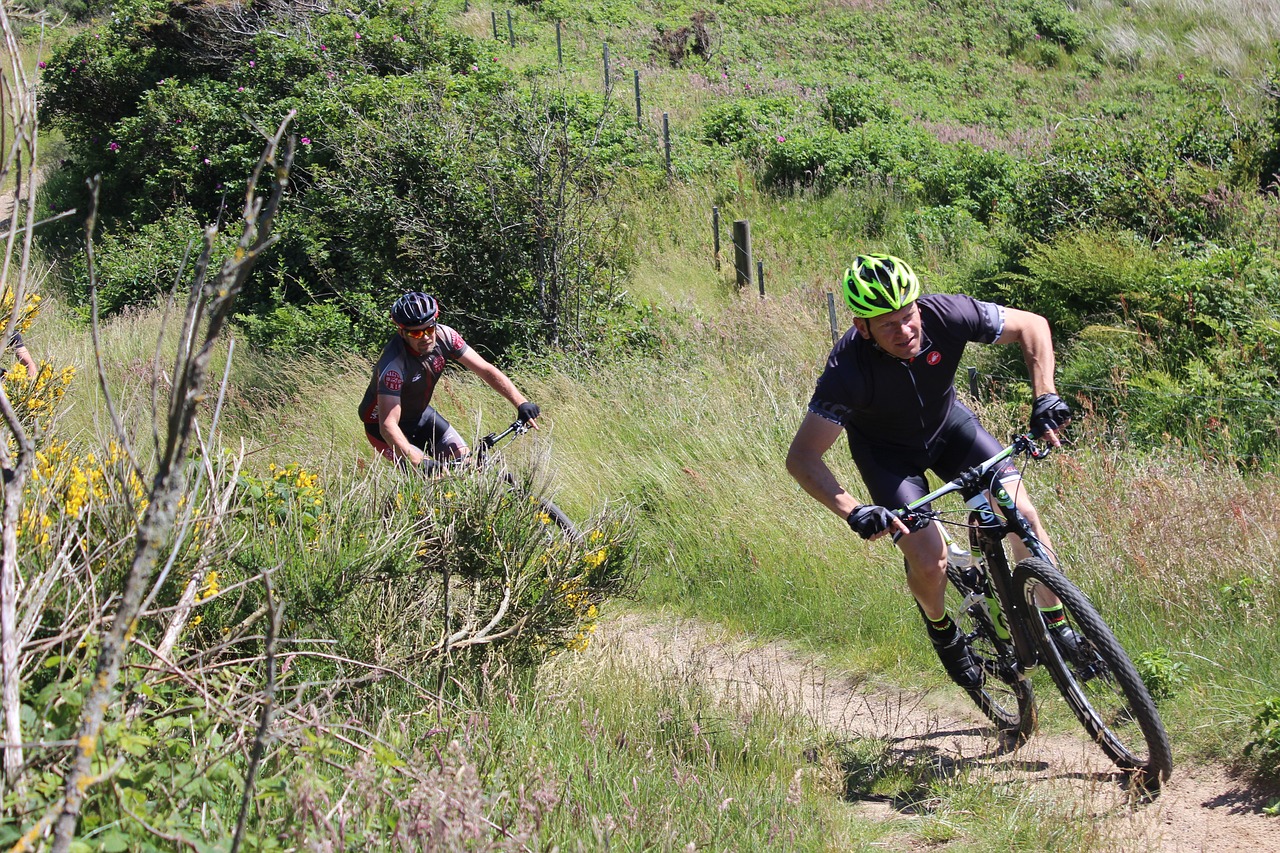 Mtb, Kalnų Dviratis, Sportas, Aktyvus, Mokymas, Kraštovaizdis, Natūralus, Vasara, Denmark, Vaizdas