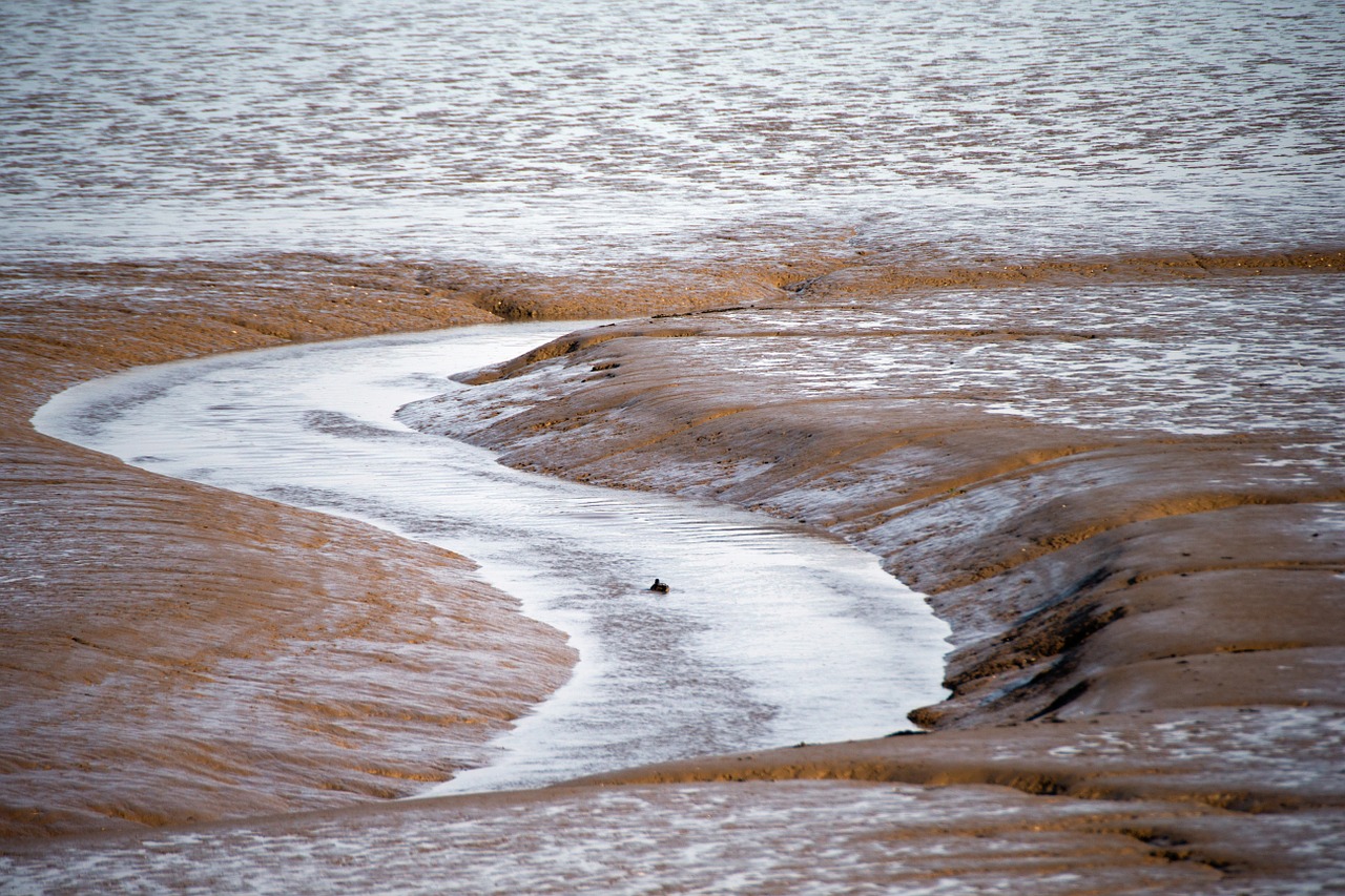 Purvo Butai, Eb Tide, Thames Estuarija, Uk, Atoslūgis, Srautas, Nemokamos Nuotraukos,  Nemokama Licenzija