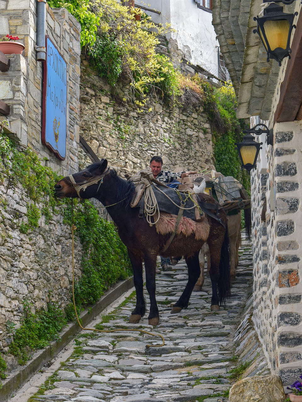 , Nemokamos Nuotraukos,  Nemokama Licenzija