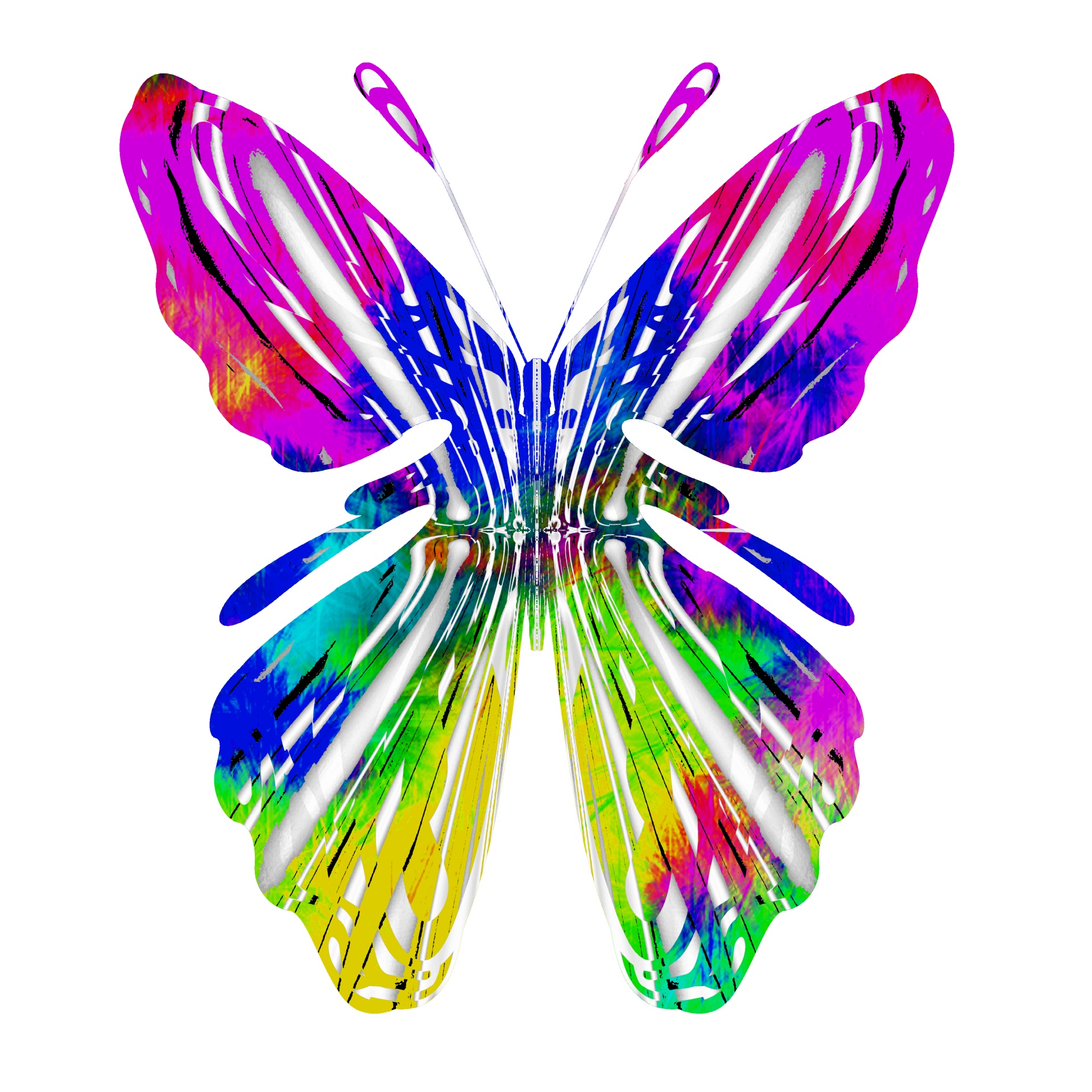 Кратко разноцветная бабочка. Разноцветные бабочки. Бабочки цветные. Радужная бабочка. Многоцветные бабочки.