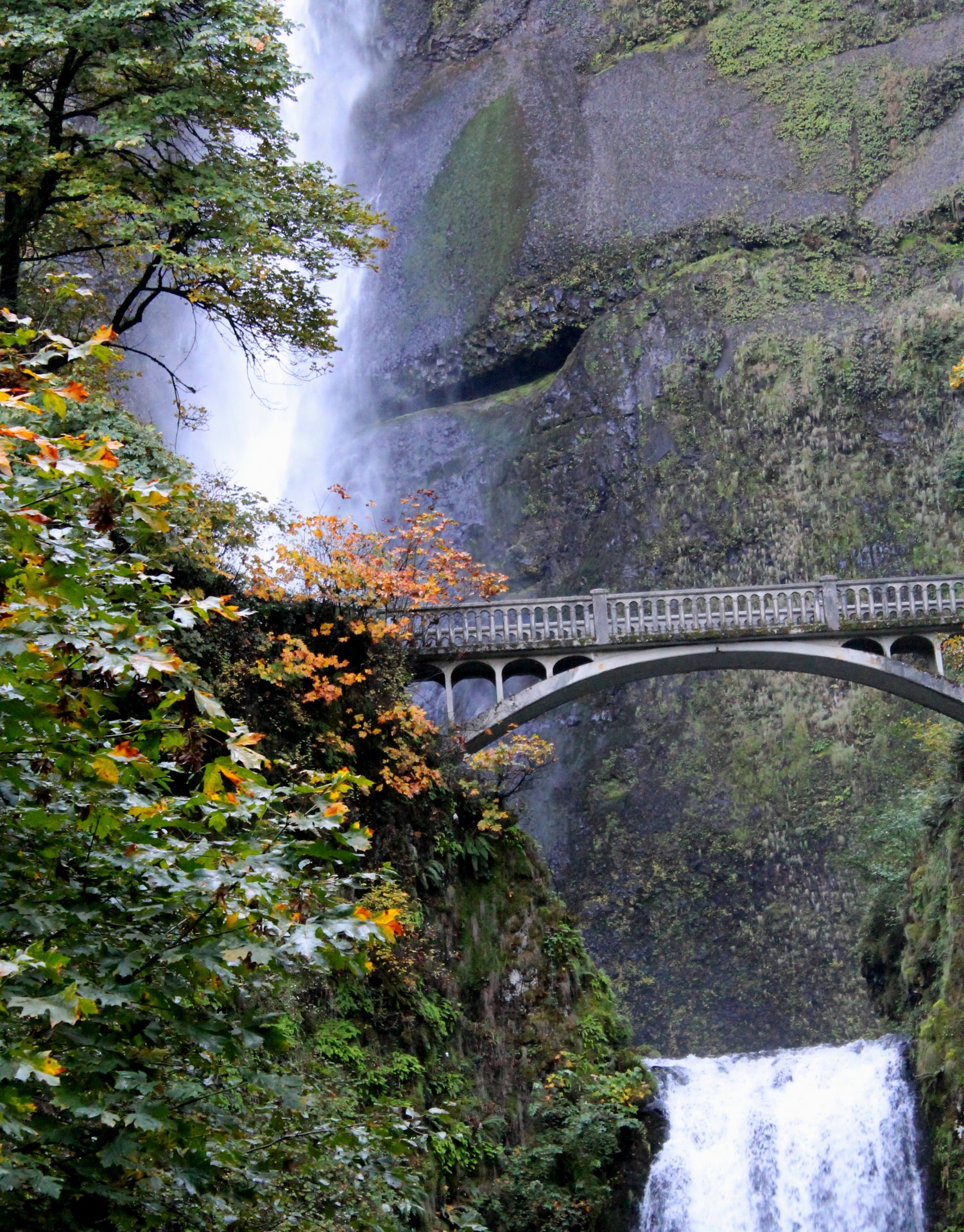 Multnomah & Nbsp,  Krioklys,  Kriokliai,  Oregonas,  Gamta,  Multnomah Patenka, Nemokamos Nuotraukos,  Nemokama Licenzija