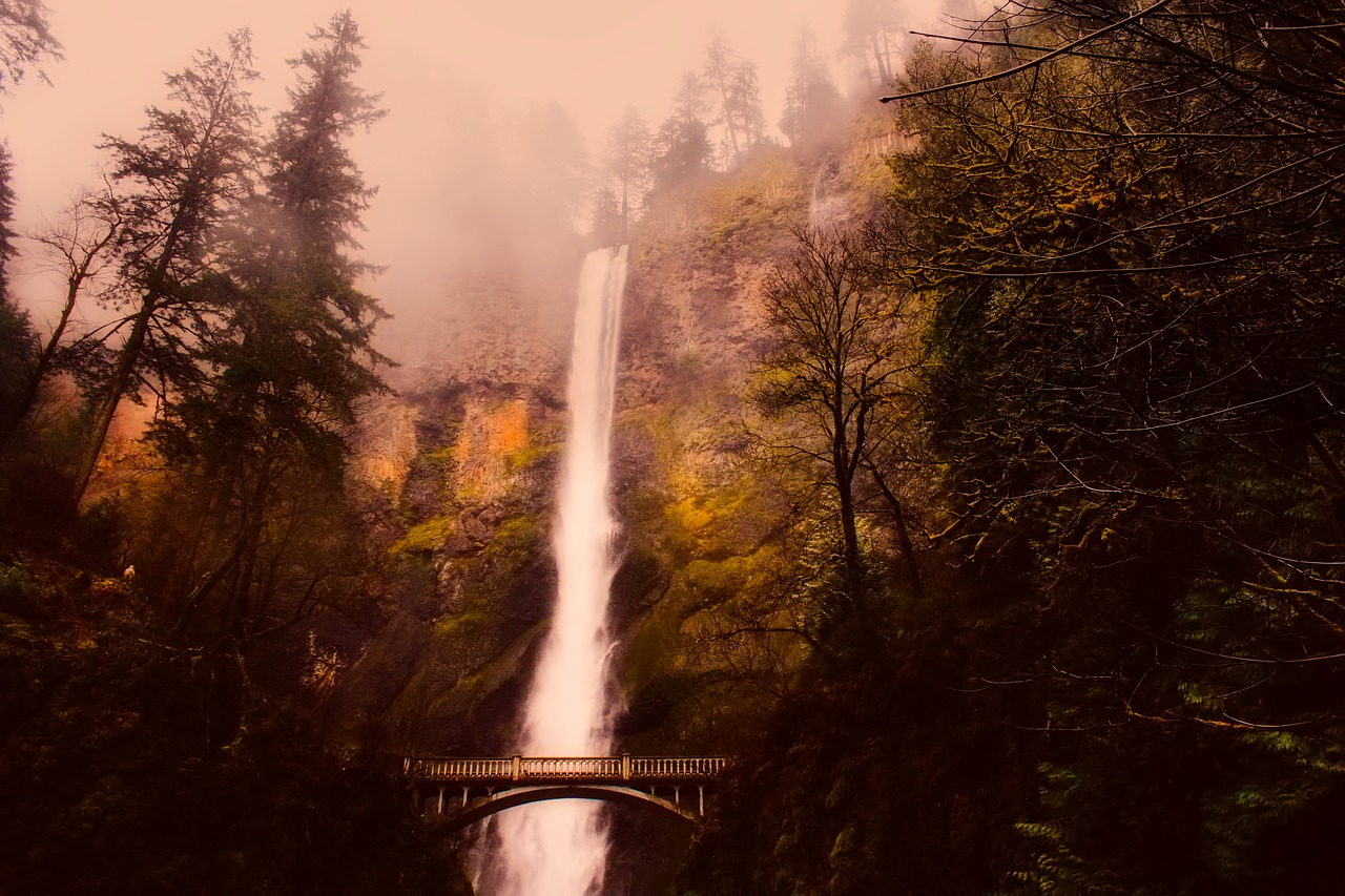 Multnomah Falls, Krioklys, Kalnai, Rūkas, Migla, Miškas, Medžiai, Miškai, Oregonas, Turizmas