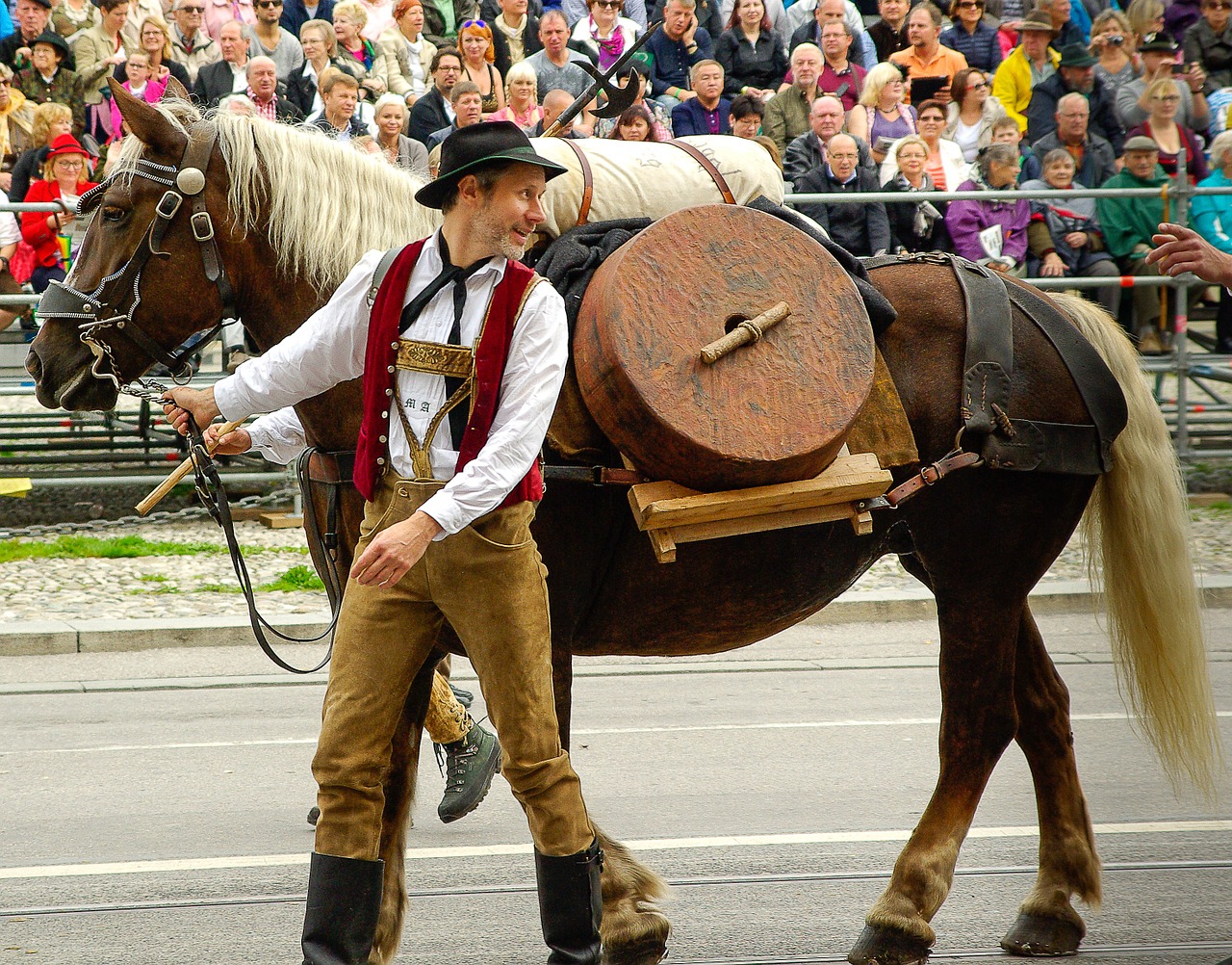 Munich, Oktoberfest, Paradas, Arklys, Nemokamos Nuotraukos,  Nemokama Licenzija