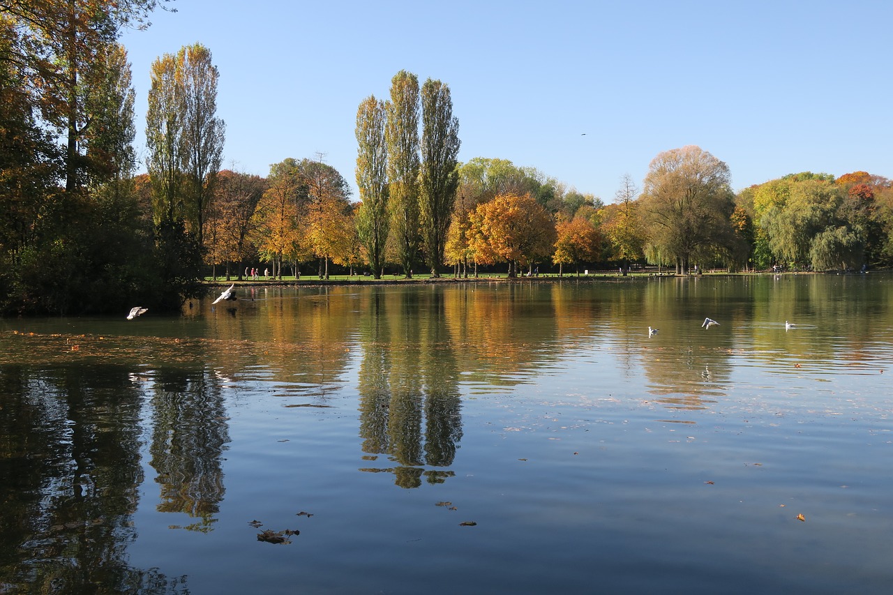 Munich, Anglų Sodas, Seehaus, Ruduo, Medis, Kleinhesseloher Ežeras, Ežeras, Vaikščioti, Nemokamos Nuotraukos,  Nemokama Licenzija