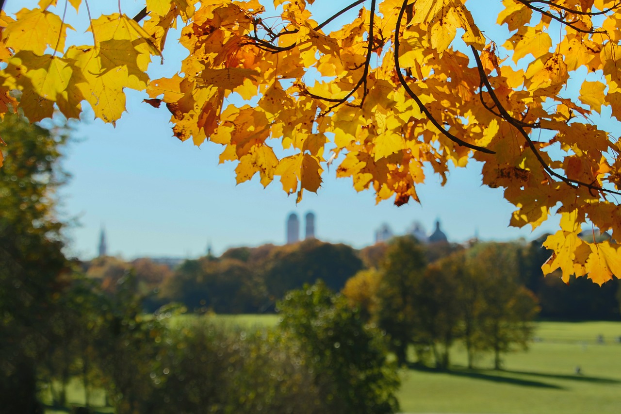 Munich, Anglų Sodas, Bavarija, Parkas, Natūralus Žalias Landeshaupstadt, Ruduo, Lapai, Frauenkirche, Nemokamos Nuotraukos,  Nemokama Licenzija