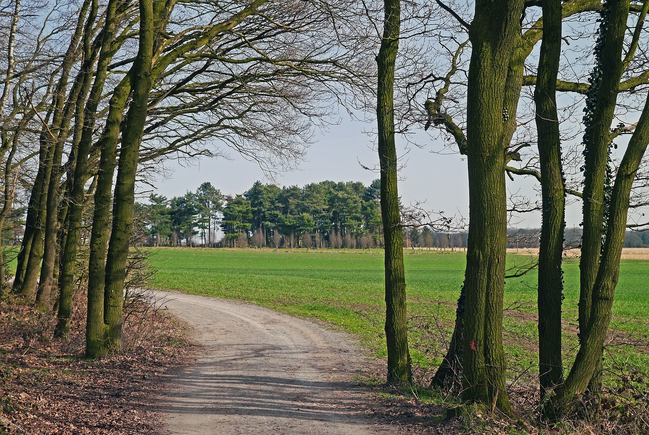 Münsterland, Parklandschaft, Westfalen, Šiaurės Reinas, Vestfalija, Vokietija, Perspektyva, Miškas, Kraštovaizdis, Plokščią Žemę