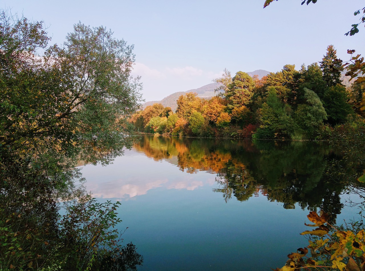 , Nemokamos Nuotraukos,  Nemokama Licenzija