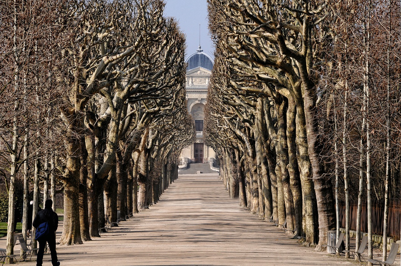 Gamtos Istorijos Muziejus, Jardin Des Plantes, Paris, Medžiai, Simetrija, Alėja, Nemokamos Nuotraukos,  Nemokama Licenzija