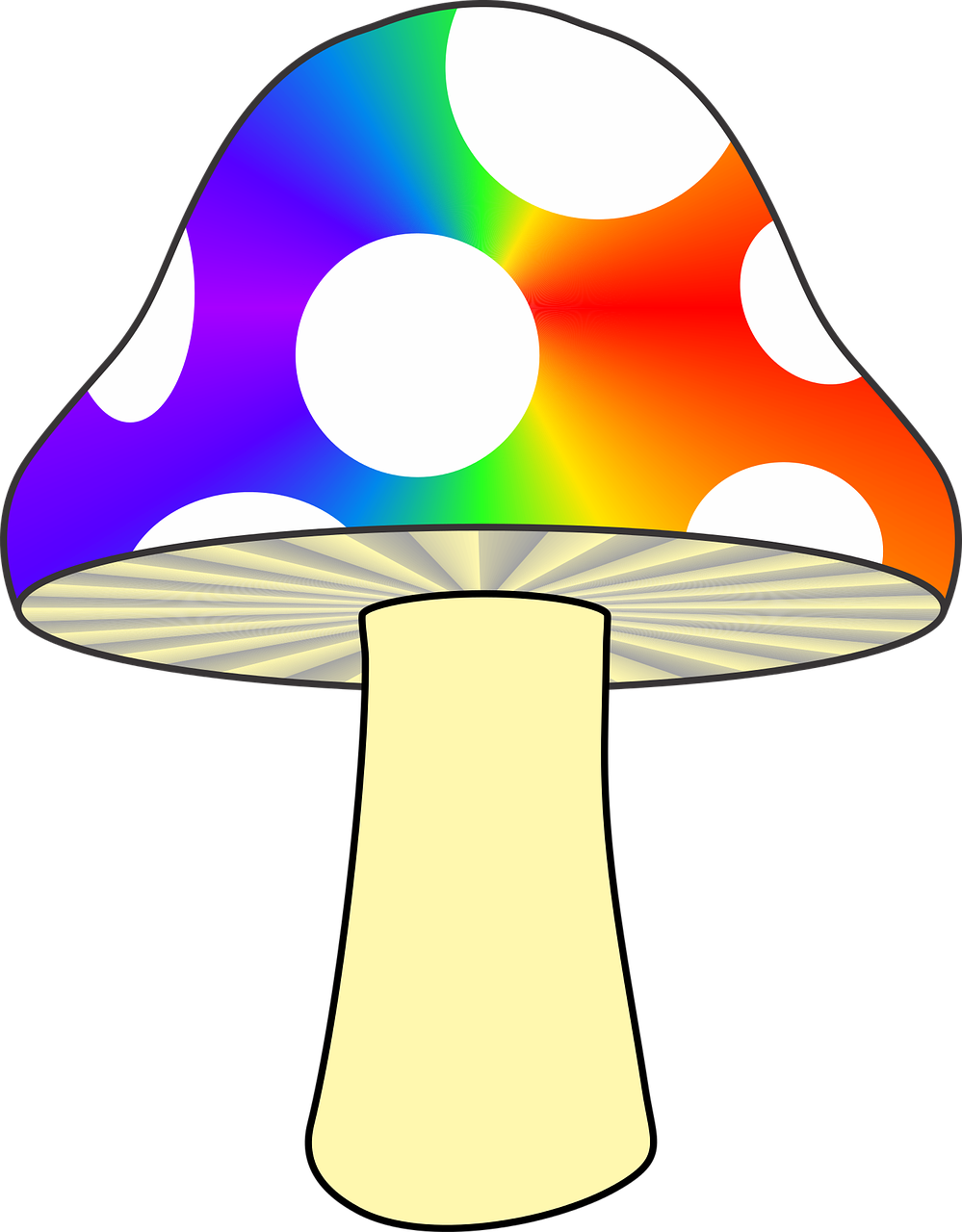 Grybai, Gamta, Spalvoti Grybai, Vaivorykštė, Psichodelija, Psichodelinis, Grybelis, Miškai, Miškas, Nemokama Vektorinė Grafika