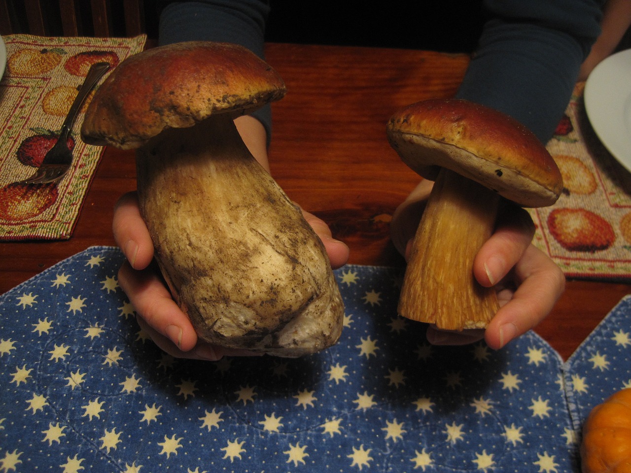 Grybai, Boletus, Porcini, Nemokamos Nuotraukos,  Nemokama Licenzija