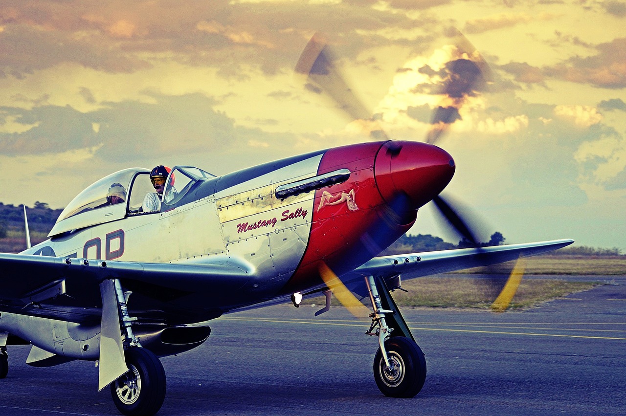 Mustangas, P-51, Lėktuvas, Nemokamos Nuotraukos,  Nemokama Licenzija