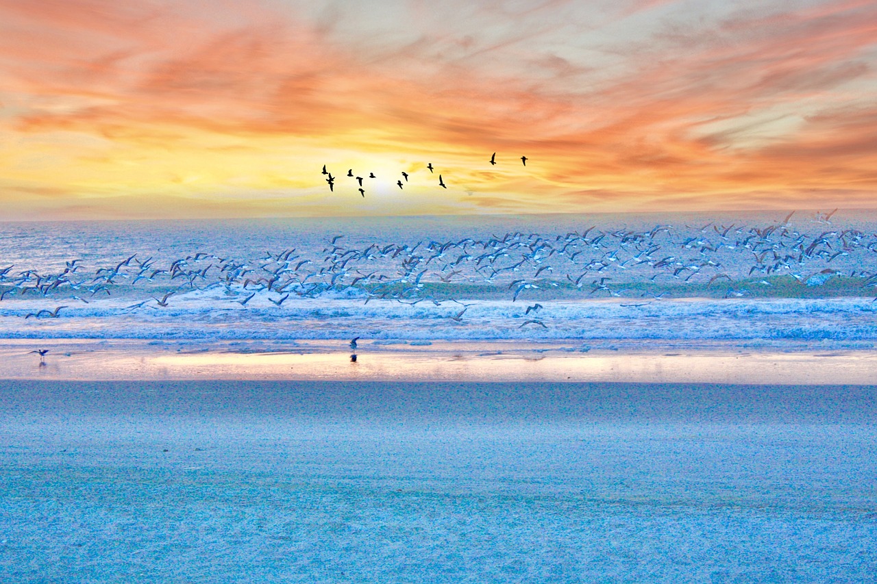 Myrtle Beach,  Sunrise,  Papludimys,  Vandenynas,  Smėlis,  Pietų,  Karolina, Nemokamos Nuotraukos,  Nemokama Licenzija