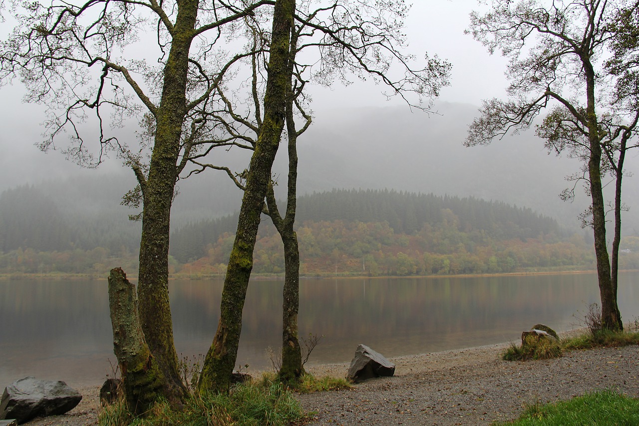 Mistinis, Mįslingas, Gražus, Ežeras Loch Lubnaig, Medis, Gamta, Kraštovaizdis, Rūkas, Mediena, Isle Of Skye