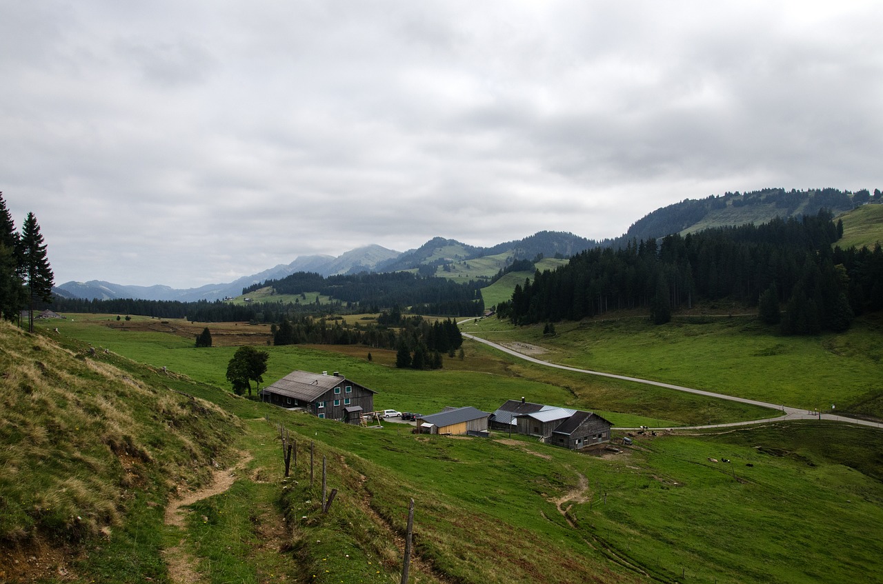 Nagelfluhkette, Aukštas Kraigas, Jautiena Alfornas, Allgäu, Dienos Šviesa, Žygiai, Kraštovaizdis, Alpe, Ganykla, Karvės