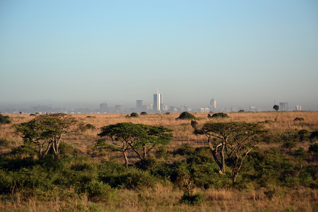 Nairobis, Kenya, Africa Cityscape, Savanna, Nemokamos Nuotraukos,  Nemokama Licenzija
