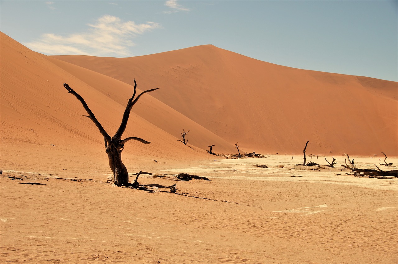 Namib Dykuma, Namibija, Dykuma, Miręs Vlei, Afrika, Nemokamos Nuotraukos,  Nemokama Licenzija