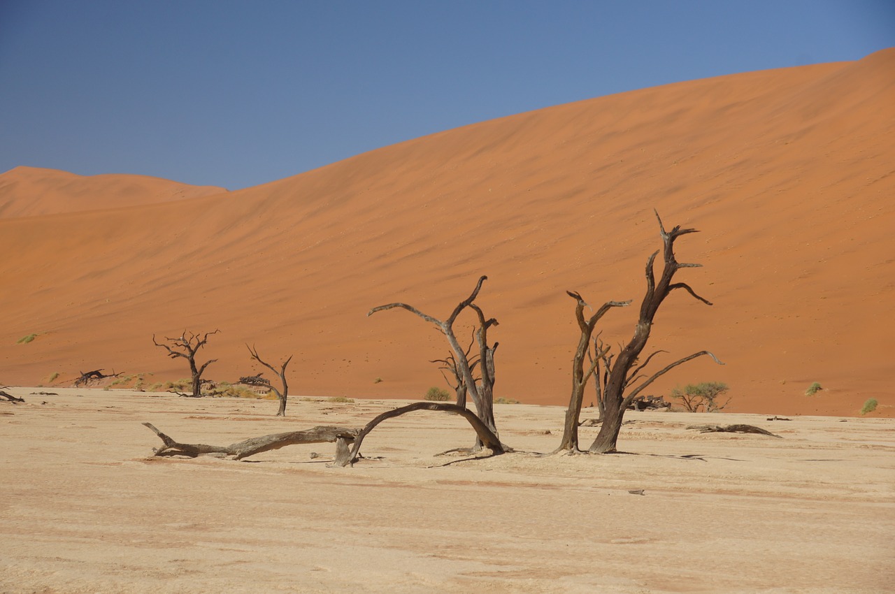 Namibija, Kelionė, Afrika, Dramblys, Gyvūnas, Dykuma, Kopos, Sausra, Kraštovaizdis, Nemokamos Nuotraukos