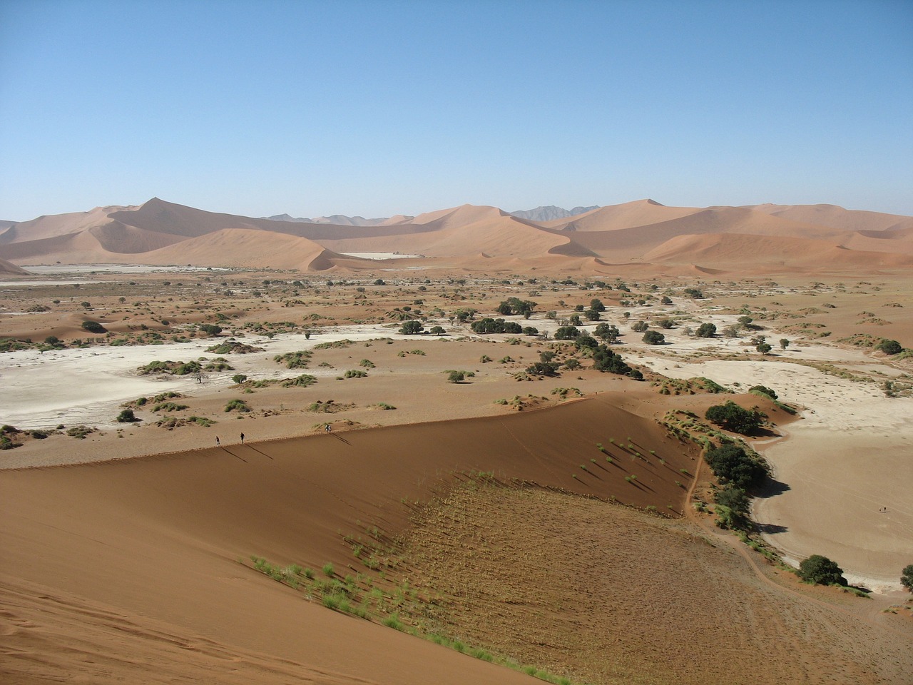 Namibija, Namib, Dykuma, Kopos, Smėlis, Afrika, Smėlio, Namib Dykuma, Kraštovaizdis, Sausas