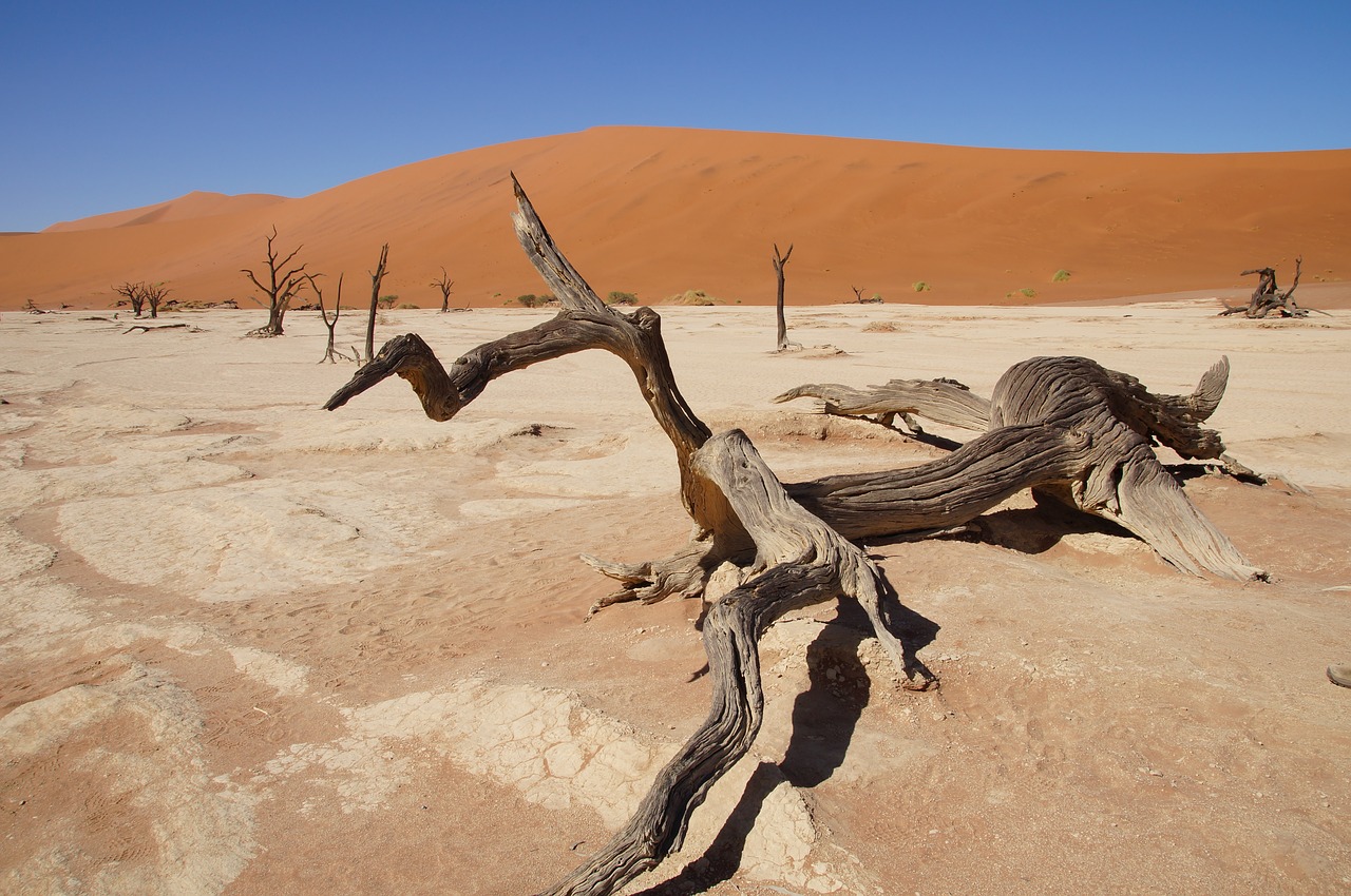 Namibija, Afrika, Namib Dykuma, Miręs Vlei, Dykuma, Nemokamos Nuotraukos,  Nemokama Licenzija