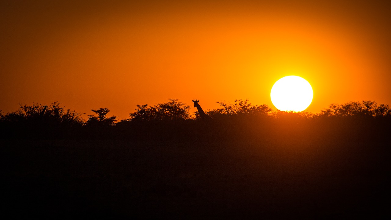 Namibija, Laukinė Gamta, Afrika, Etosha, Kraštovaizdis, Safari, Gamta, Vanduo, Turizmas, Laukiniai