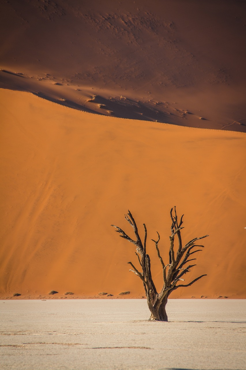 Namibija, Laukinė Gamta, Afrika, Kraštovaizdis, Safari, Gamta, Vanduo, Turizmas, Laukiniai, Parkas