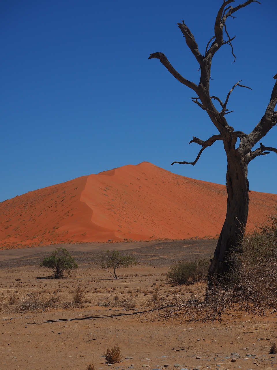 Namibija,  Roter Smėlio,  Vienišumas, Nemokamos Nuotraukos,  Nemokama Licenzija